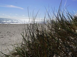 A beach with sand and grass in the foreground, and the ocean in the background. - 4 Star Holiday Home in Grossenbrode (Grossenbrode)