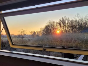 A window with a view of a sunset over a field with trees and a fence. - 4 Star Holiday Home in Grossenbrode (Grossenbrode)