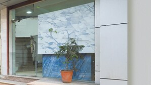 Uma planta em vaso numa plataforma do lado de fora de um edifício com porta de vidro e parede de mármore.