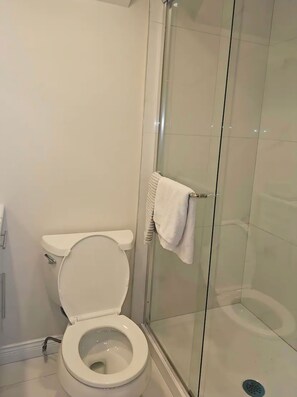 Secador de pelo, toallas, jabón y papel higiénico