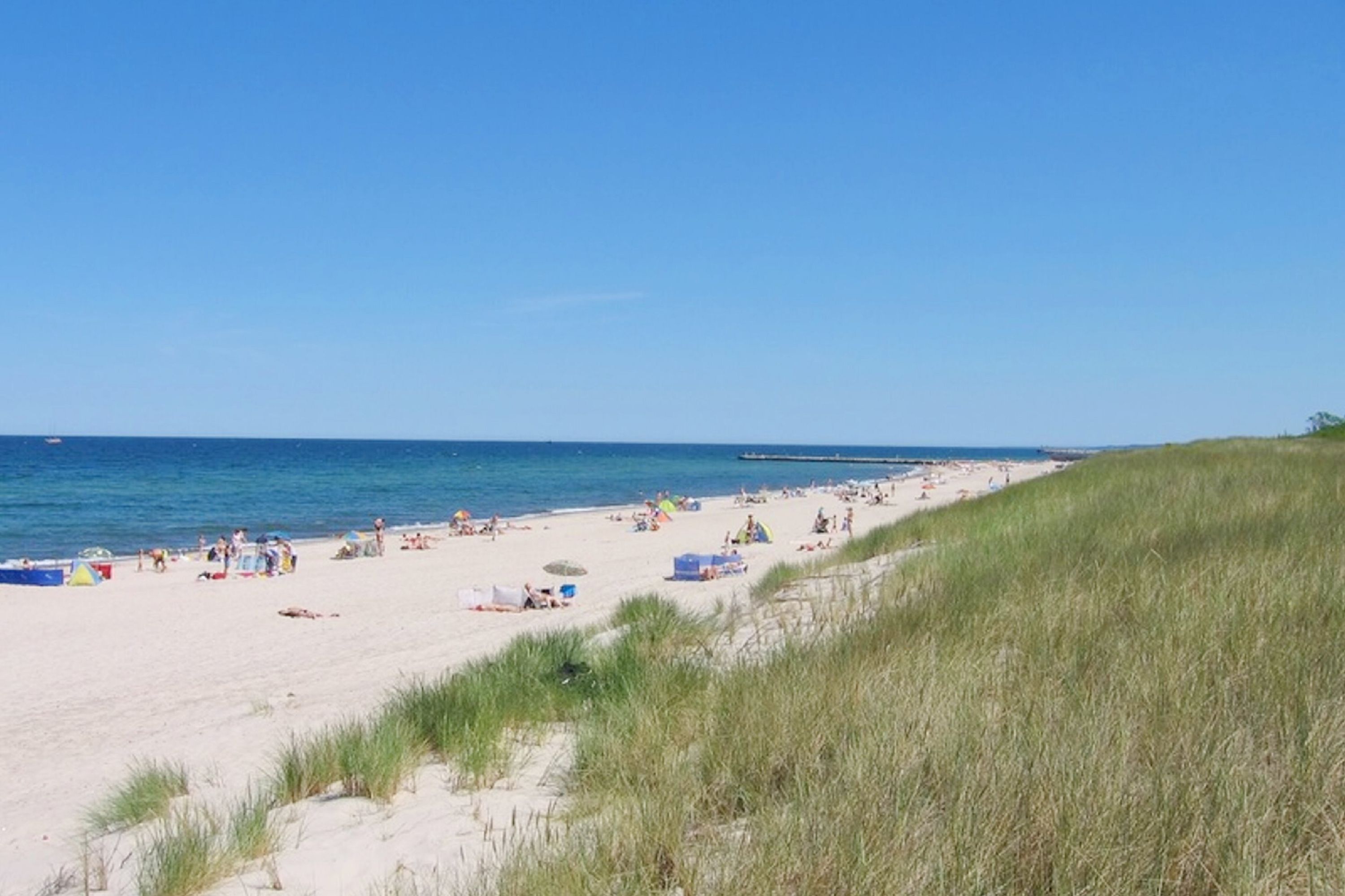 A beach with sand, grass, and the ocean.