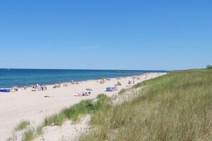 Uma praia com areia, grama e o oceano.