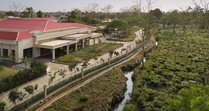 Manohari Tea Trails & Resort Dibrugarh