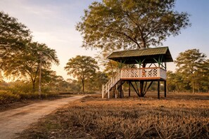 บริเวณที่พัก