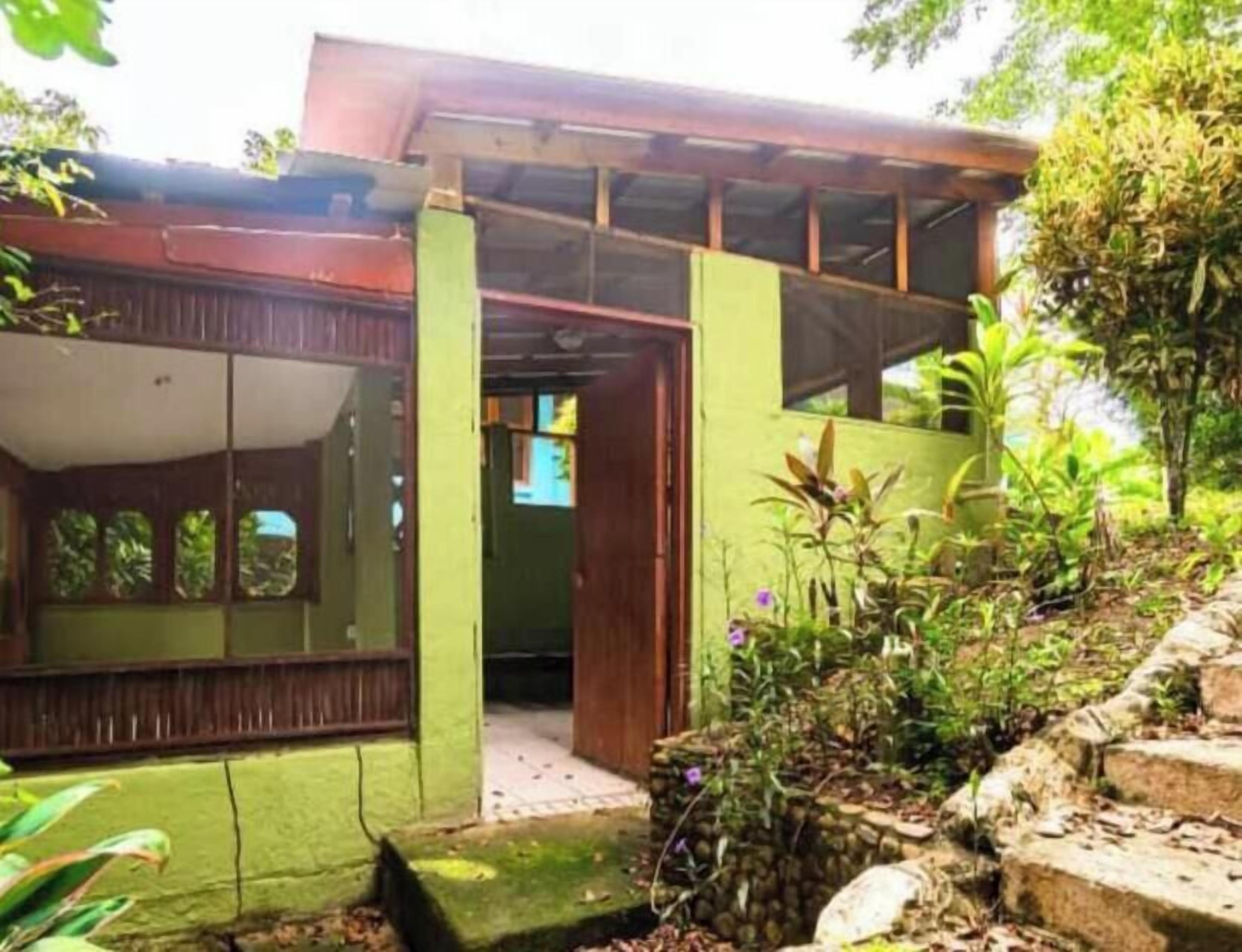 A house with a green exterior, a wooden door, and a small garden area with plants and a stone wall.