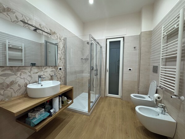 Shower, bidet, towels, soap