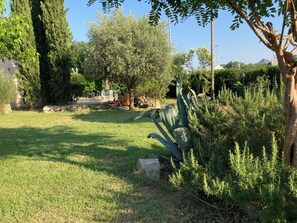 Parco della struttura