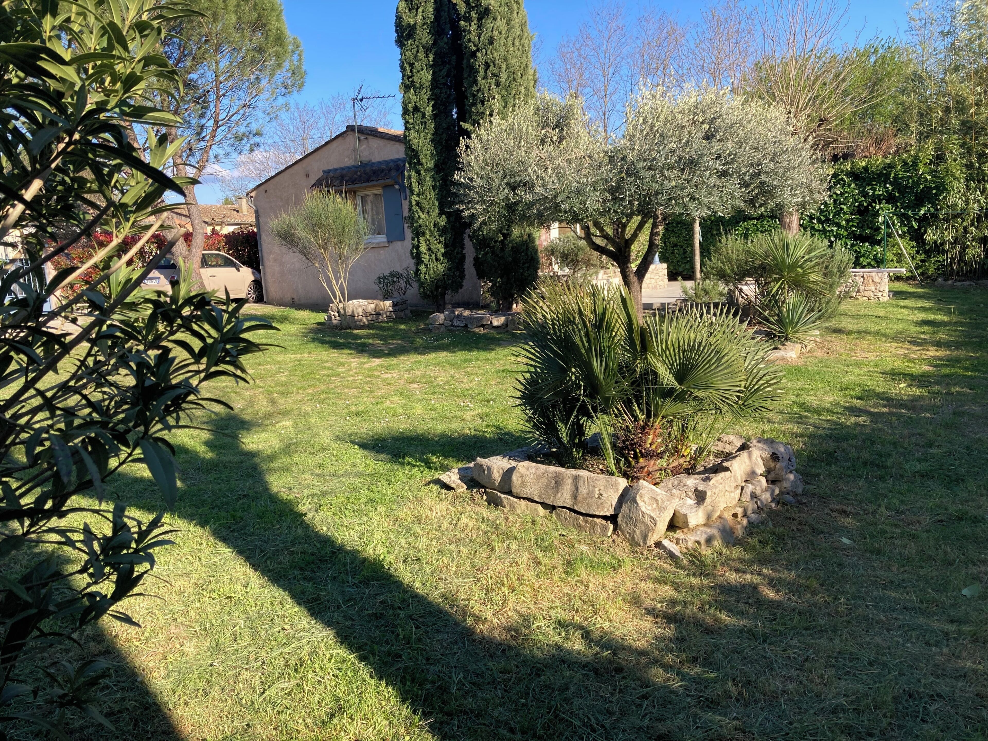 A garden with a stone wall, a palm tree, and a building with a sloped roof.