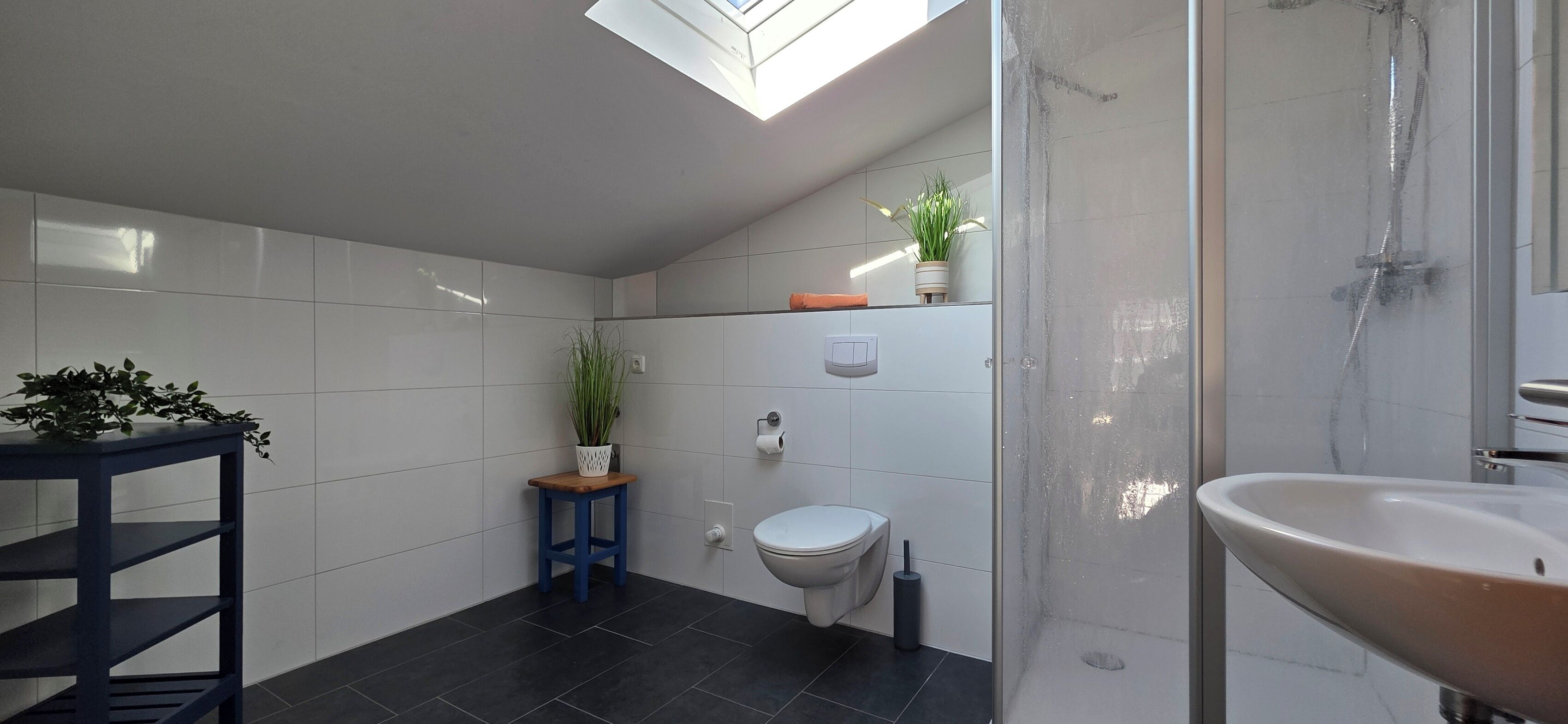Ein modernes Badezimmer mit Dachfenster, Toilette, Waschbecken und zwei Topfpflanzen.