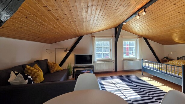 Dormitorio tipo loft con techo inclinado, una cama, un sofá, un televisor y un ventanal.