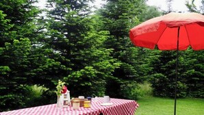 An outdoor picnic setup with a checkered tablecloth, a red umbrella, and a bench with cushions. - Ferienhof Birkblick "Tannengrün" (Gelting)