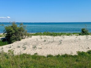Ein sandiger Strand mit vereinzelter Vegetation und einem klaren, blauen Meer.