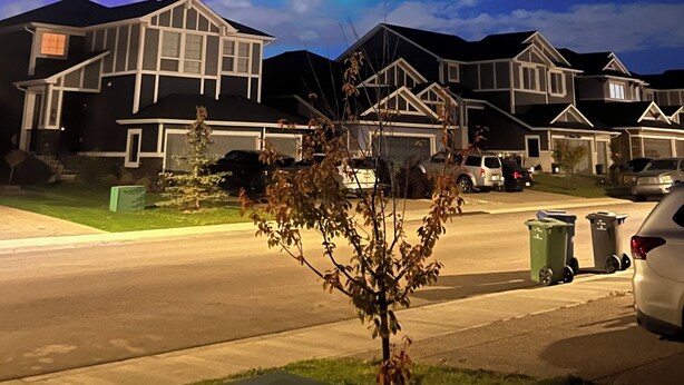 A residential area with houses, a tree, and a street. - Entire Basement suite (Chestermere)