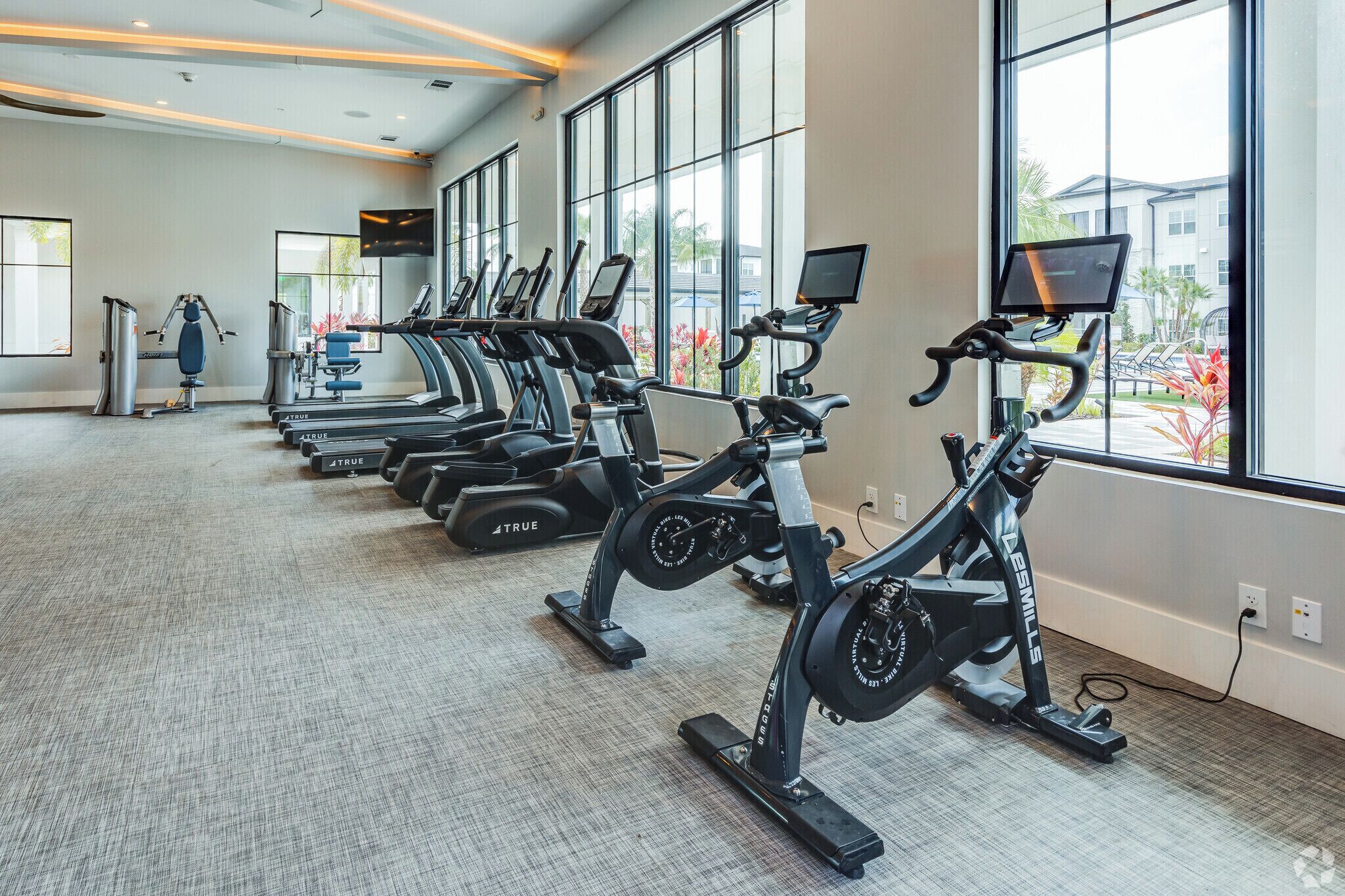 Ein Fitnessraum mit mehreren Laufbändern, einem Ergometer und einer Hantelmaschine.