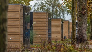 A row of wooden cabins with a natural setting, including trees and fallen leaves. - Cube 95 | 4 persoons chalet in Zennewijnen (Zennewijnen)