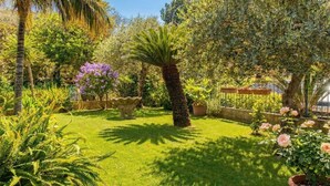 Un jardin luxuriant, avec une grande variété de plantes, un palmier et une structure en forme de pergola.