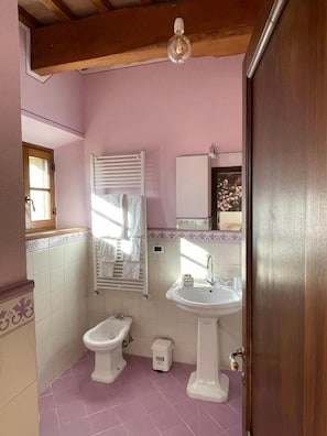 A bathroom with a bidet, a sink, and a mirror. - Villa Preselle Country Resort (Preselle)