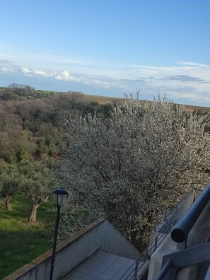 Vista de un paisaje arbolado con un edificio en primer plano.