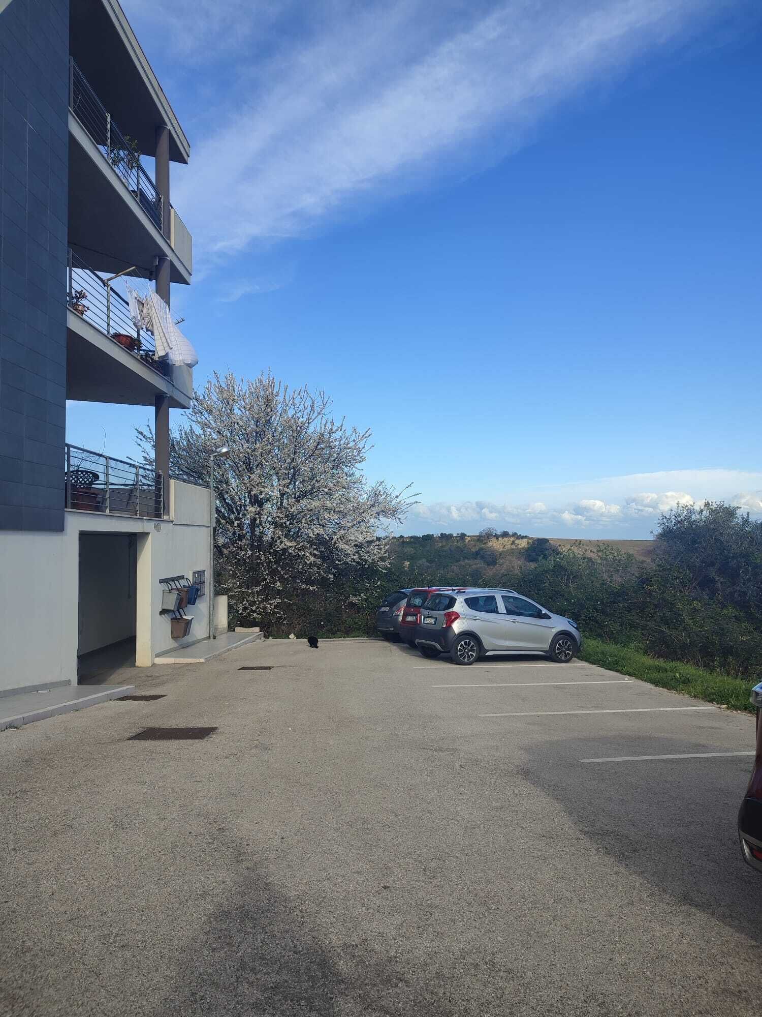 Een parkeerplaats met een gebouw aan de linkerkant, een boom met witte bloemen en een helderblauwe lucht.