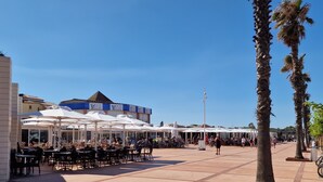 Ein öffentlicher Platz mit Außenbestuhlung, Palmen und einem Gebäude mit der Beschilderung 'Yacht Club'.