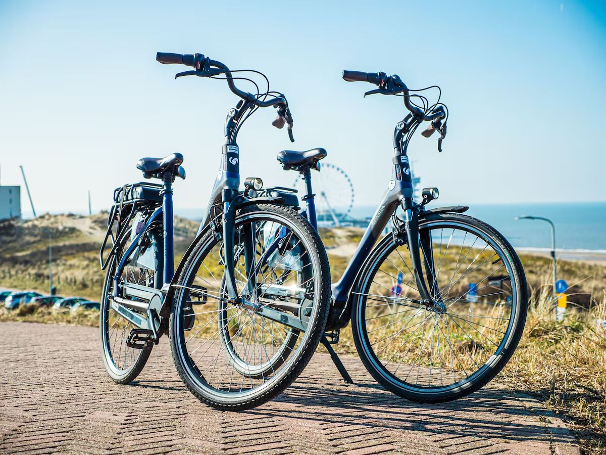 Two bicycles parked on a paved path with a beach and a ferris wheel in the background.