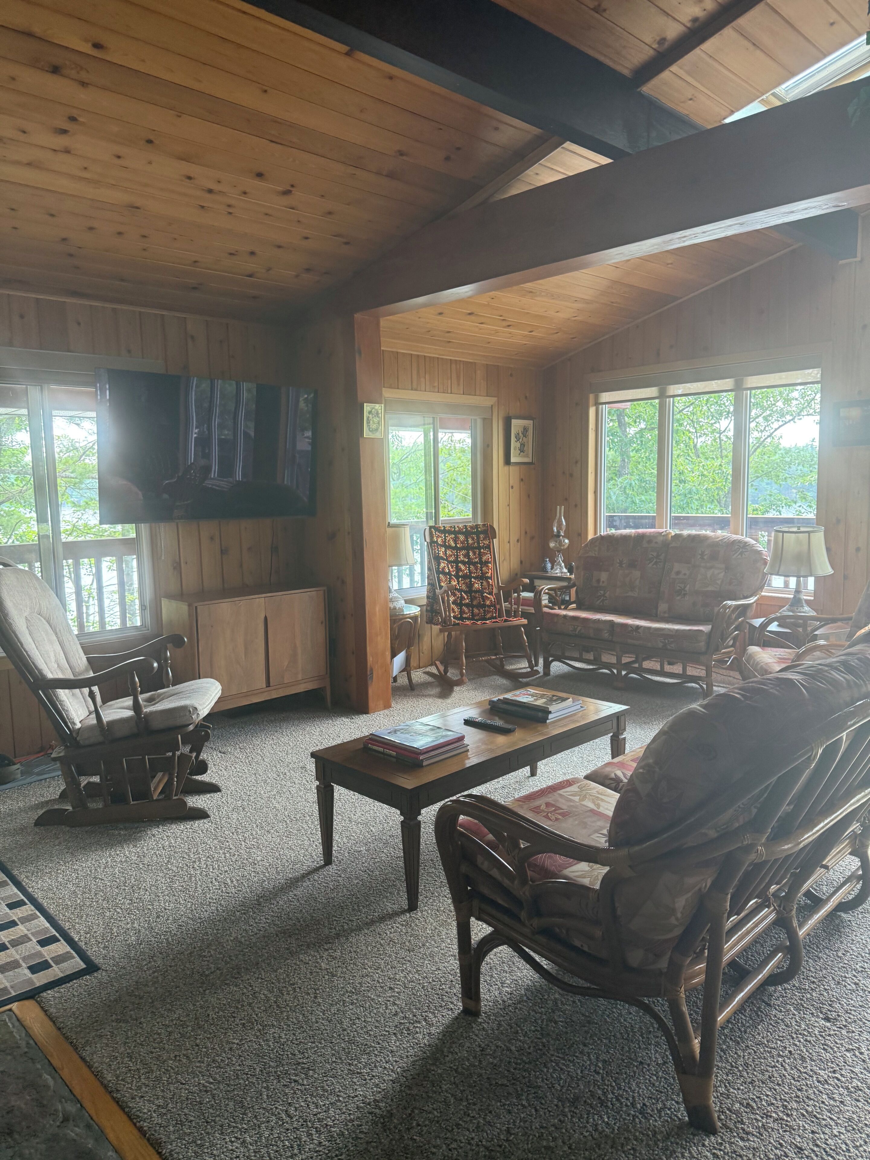 Smart TV, DVD player, video library