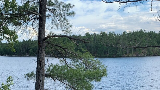 A wooden deck with chairs and a surfboard, overlooking a lake with trees in the background. - Peaceful Kawartha Lakes Cottage | Kayak, SUP & Stunning Sunsets (North Kawartha)