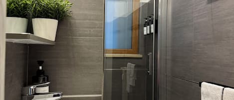 Shower, hair dryer, bidet, towels