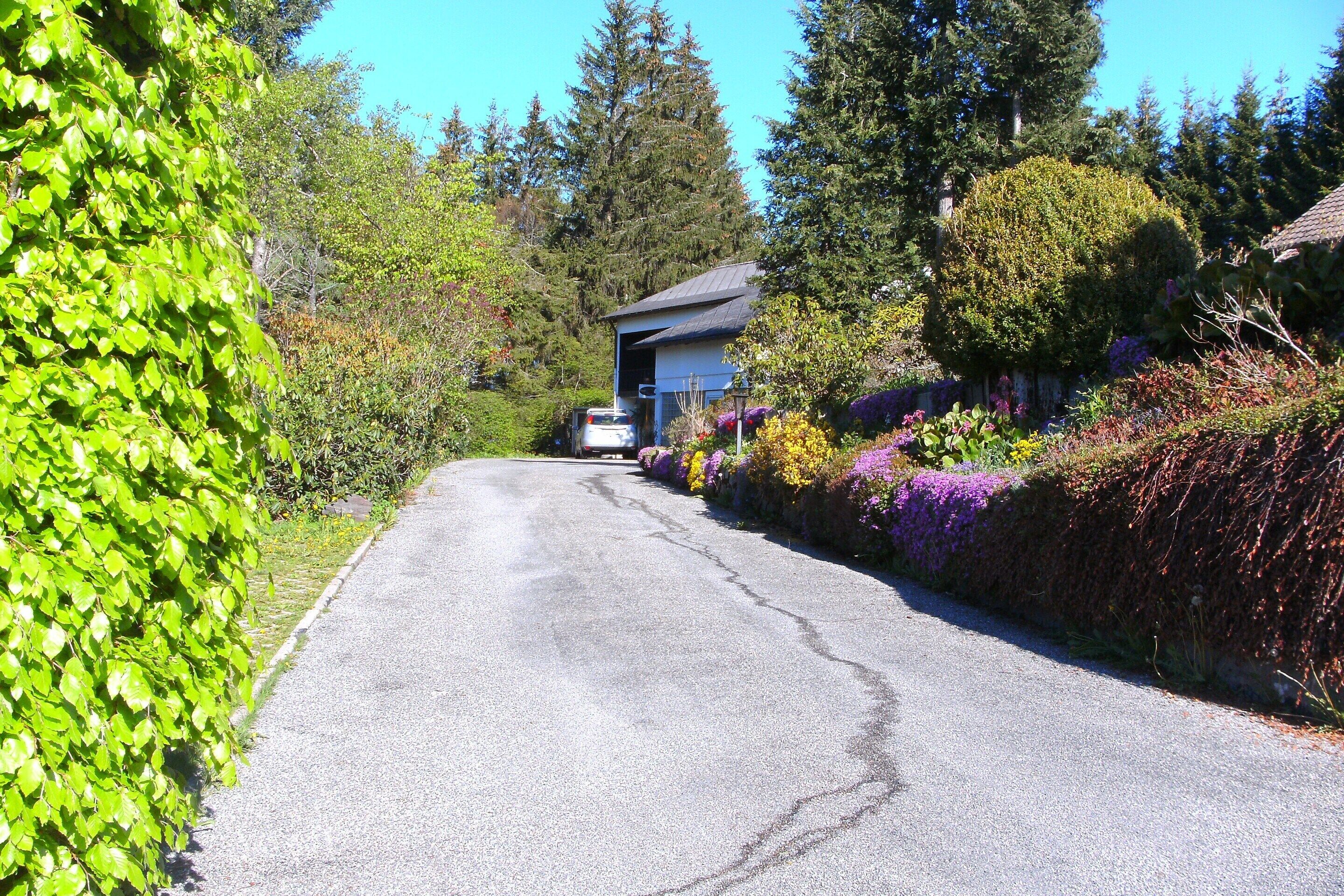 A residential street with a house, a parked car, and lush greenery.