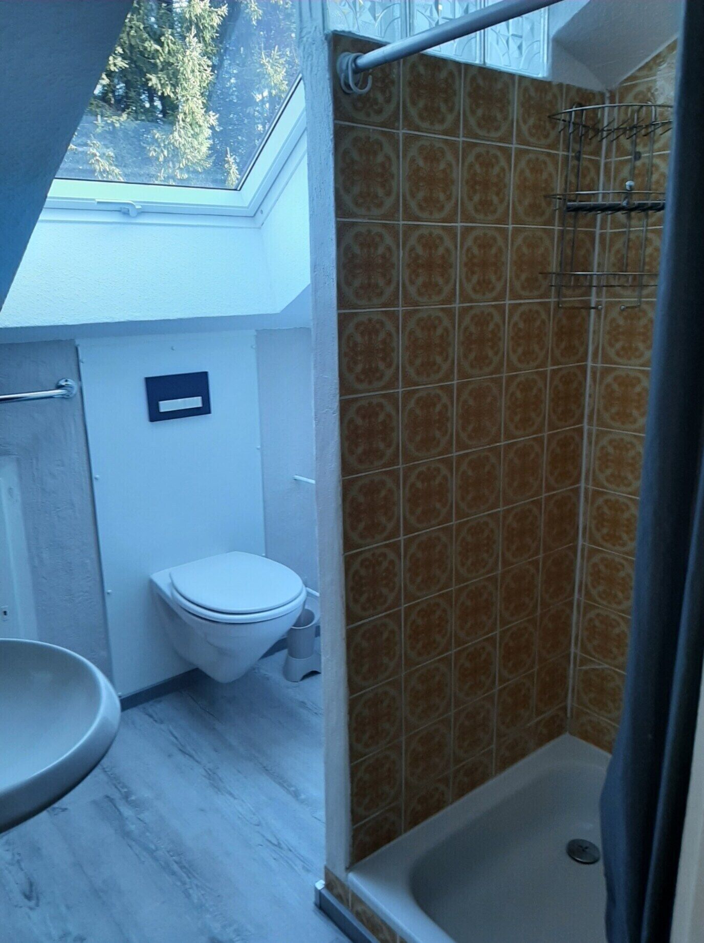 A bathroom with a skylight, a toilet, a sink, and a shower.