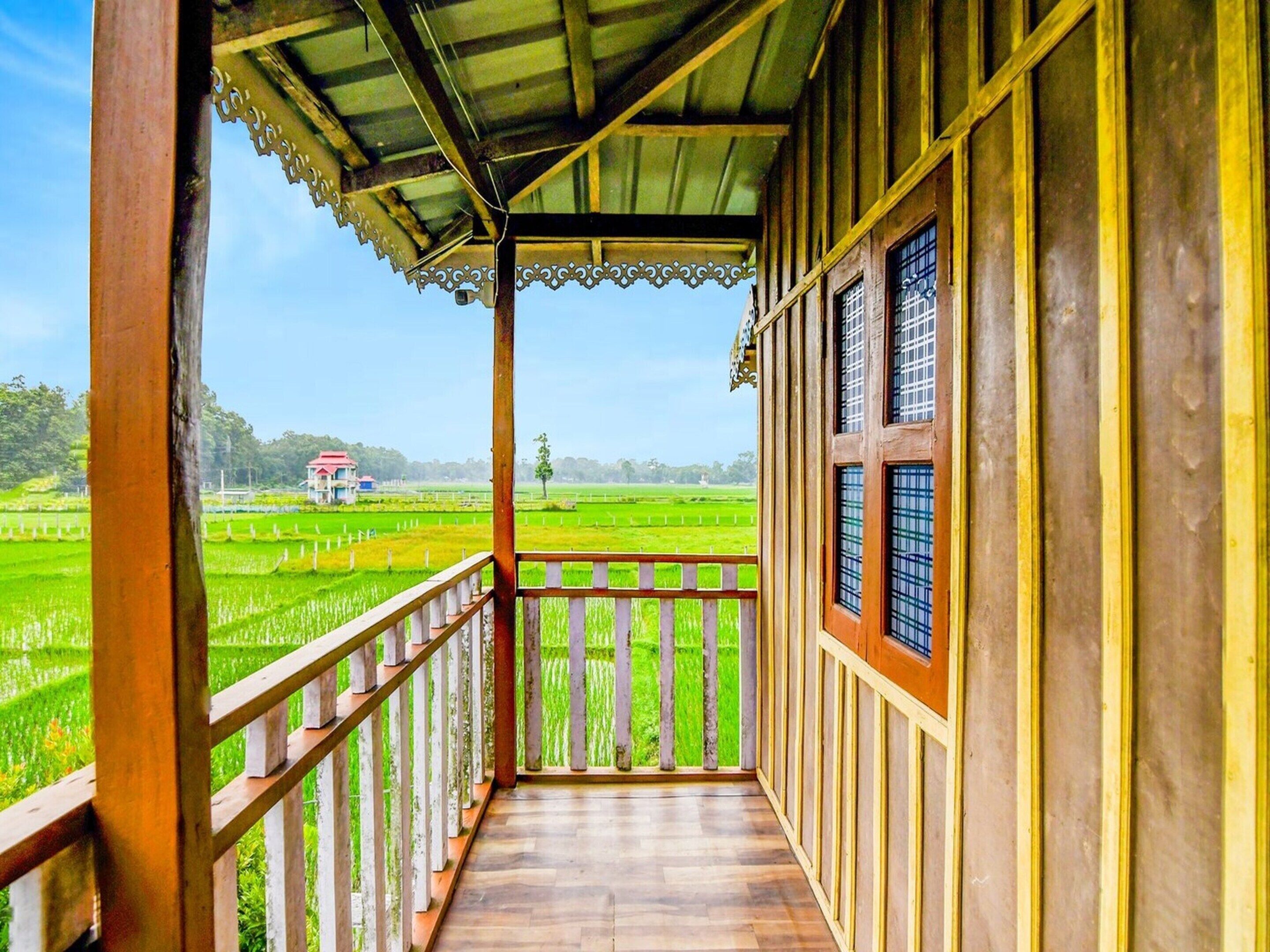 House | Property grounds