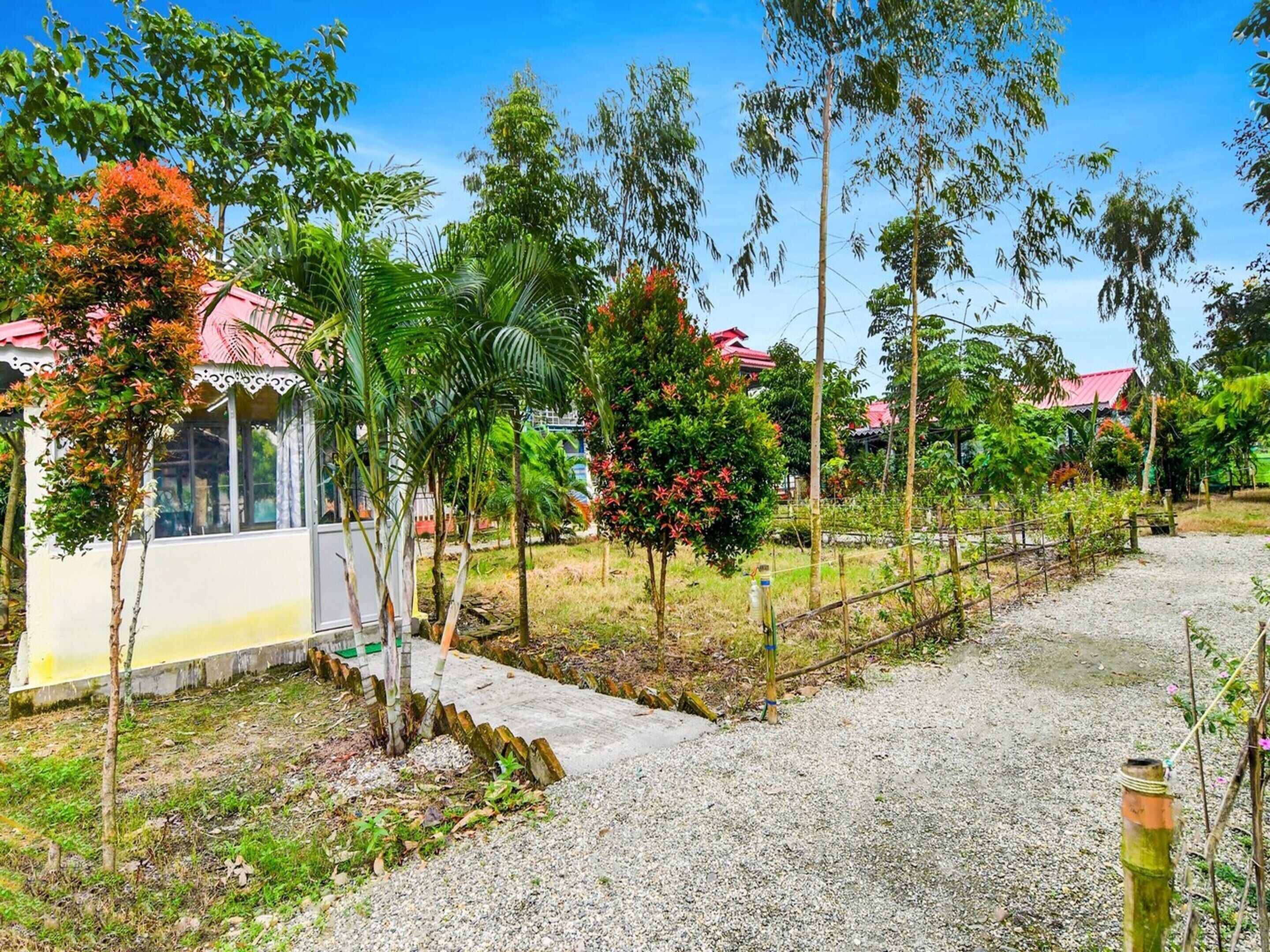 House | Property grounds