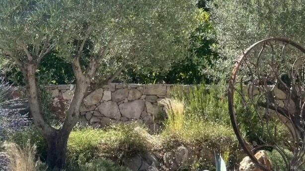 A garden with olive trees, a stone wall, and a large metal wheel. - Villa Maluan (Mons)