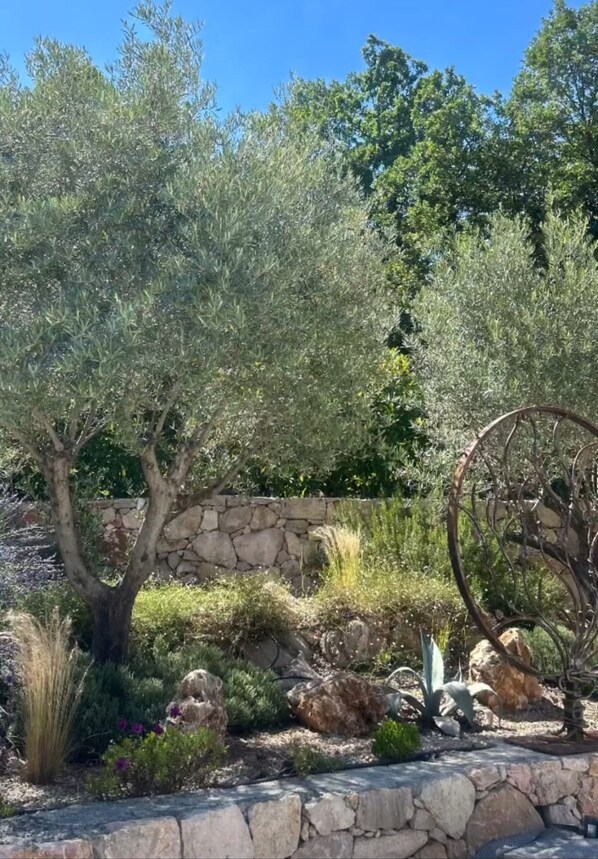 Ein Garten mit Olivenbäumen, einer Steinmauer und einem großen Metallrad.