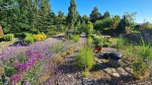 Un jardin où l’on trouve une grande variété de plantes et un sentier en pierre.