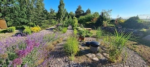 House | Garden - 10-guest Holiday Villa With Private Pool (Szemud)