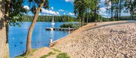 A lakeside beach with a dock, trees, and a clear sky.