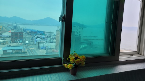 A window with a view of a coastal town, a small potted plant on the windowsill, and a clear sky.