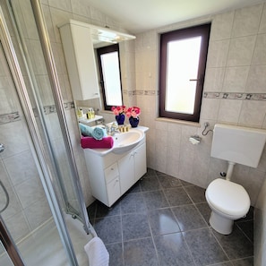 Shower, hair dryer, bidet, towels
