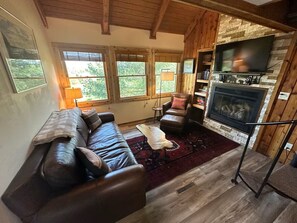 Smart TV, fireplace, books