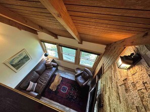 Smart TV, fireplace, books