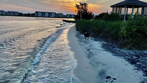 Uma praia com ondas, um cão a passear e um gazebo.