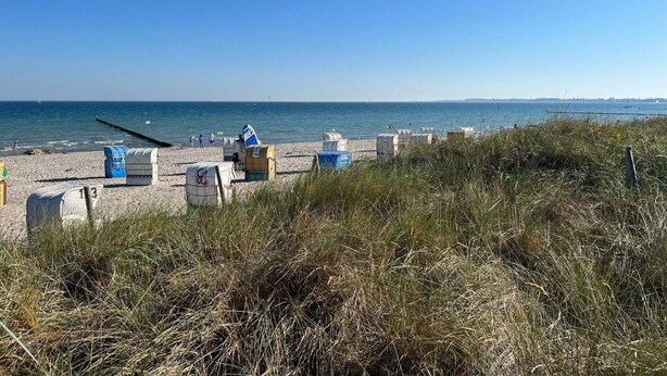 A beach with a clear sky, a pier extending into the water, and several beach huts. - 4 Star Holiday Home in Grossenbrode (Grossenbrode)