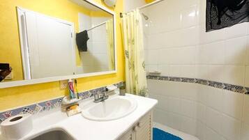 Shower, towels, toilet paper