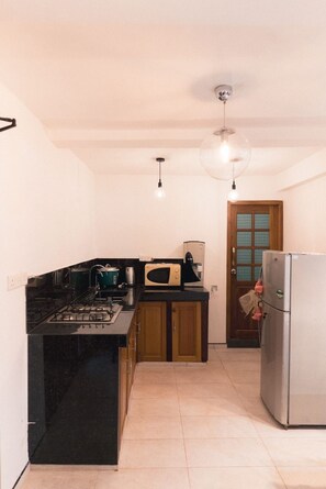 Fridge, microwave, stovetop, dishwasher