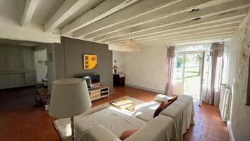 TV, fireplace, books