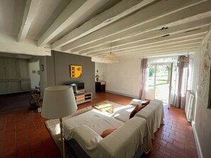 TV, caminetto, libri