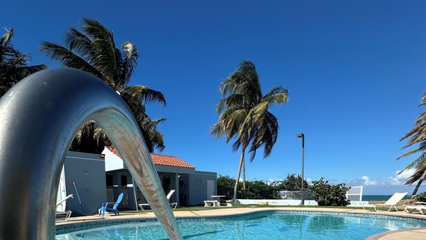 A swimming pool with a metal ladder, palm trees, and a clear blue sky.