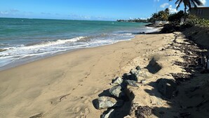 A beach with clear skies, a sandy shore, and a few palm trees.
