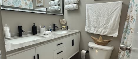 Hair dryer, towels, soap, toilet paper